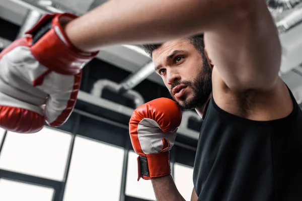 Baixo Ângulo Vista Belo Desportivo Jovem Luvas Boxe Formação Ginásio — Fotografia de Stock