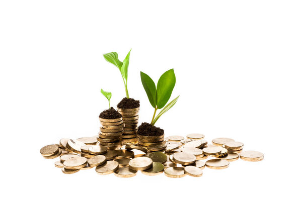 золотые монеты с зелеными листьями на вершинах, изолированных на белый
