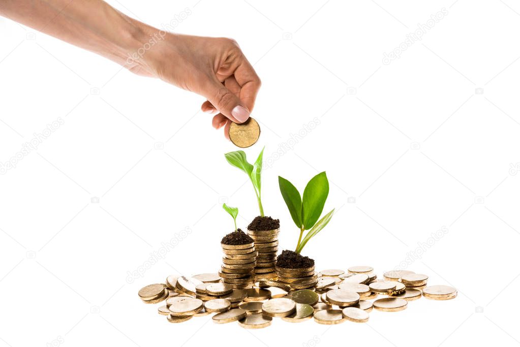 cropped view of woman holding coin near green leaves isolated on white