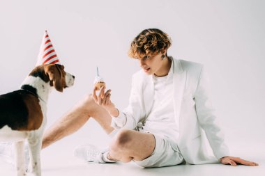  gri arka plan üzerinde parti şapkalı beagle köpek yakınındaki cupcake tutarak kıvırcık saçlı adam
