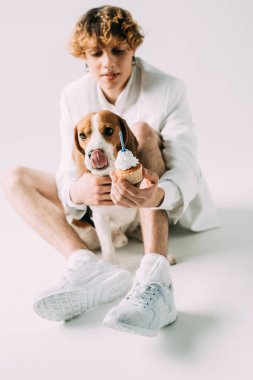 beagle köpek dili man yakınındaki kıvırcık saçlı cupcake tutarak gri arka plan üzerinde gösterilen parti şapkalı seçici odak