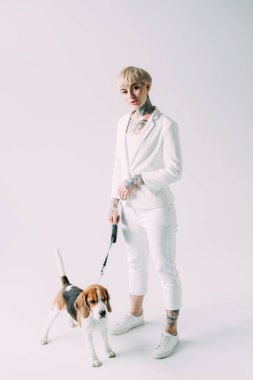 çekici sarışın kadın holding tasma ile beagle köpek gri arka plan üzerinde dururken