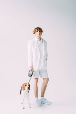 yakışıklı adam holding tasma ile beagle köpek gri arka plan üzerinde dururken