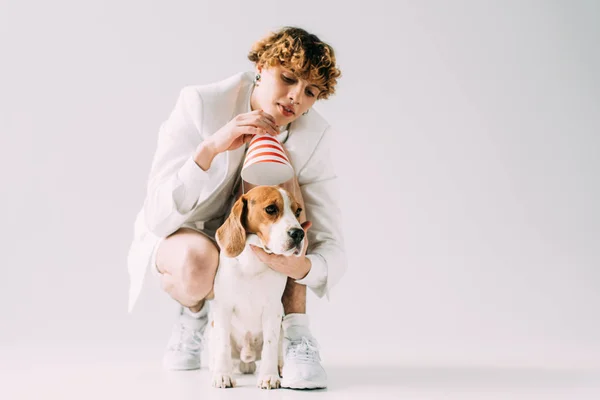 Cheerful Man Curly Hair Wearing Party Cap Beagle Dog Grey — Stock Photo, Image