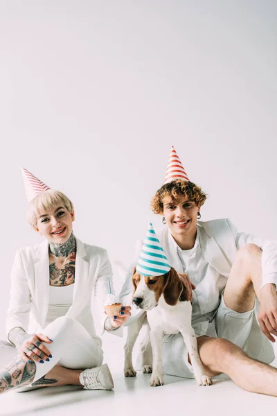 Happy Couple Wearing Party Caps Sitting Beagle Dog Grey Background — Stock Photo, Image