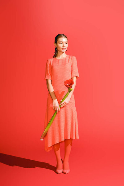 attractive elegant girl in dress holding red amaryllis flower on living coral. Pantone color of the year 2019 concept