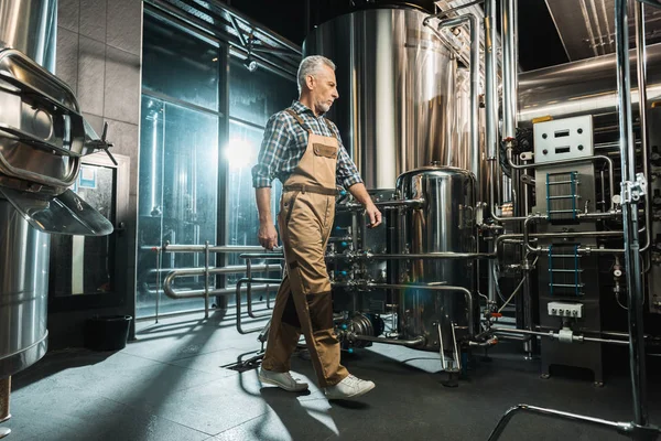 Proprietário Sênior Profissional Macacões Trabalho Andando Cervejaria — Fotografia de Stock