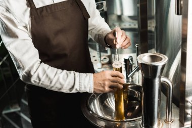 profesyonel brewer muayene bira bira şişesi görünümünü kırpılmış