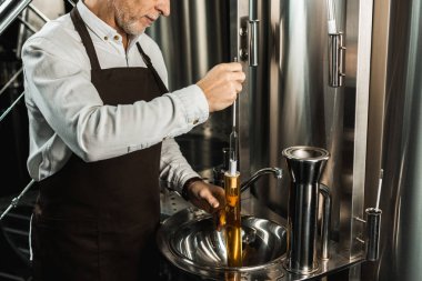 cropped view of senior brewer examining beer in flask in brewery clipart