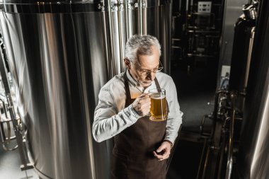 üst düzey sahibi profesyonel brewery bira test
