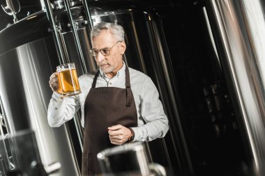üst düzey bira bira bardağında bira incelenmesi