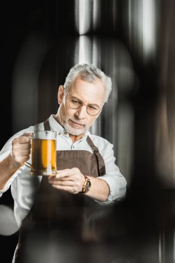 profesyonel bira bira bardağında bira incelenmesi