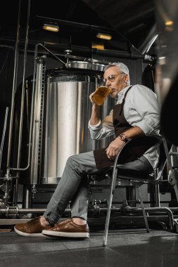 üst düzey brewer sandalyede oturan ve bira bira fabrikasında test önlük