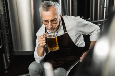 üst düzey brewer sandalyede oturan ve bira bira fabrikasında test önlük
