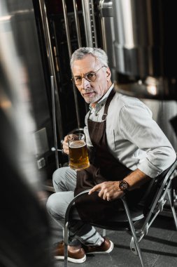yakışıklı brewer sandalyede oturan ve bardak bira bira fabrikasında tutan önlük