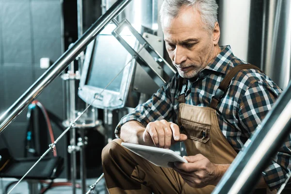 Professional Senior Brewer Using Digital Tablet Brewery — Stock Photo, Image