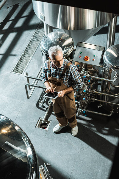 overhead view of male professional brewer using digital device in brewery