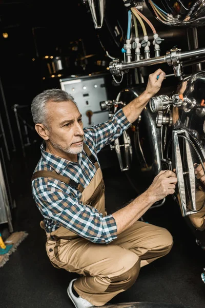 Professionele Mannelijke Brouwer Werken Met Brouwerij Apparatuur — Stockfoto