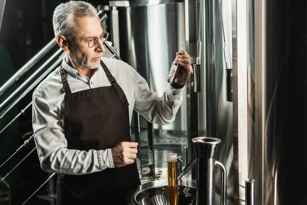 专业的高级酿酒师检查啤酒在啤酒厂的烧瓶 — 图库照片