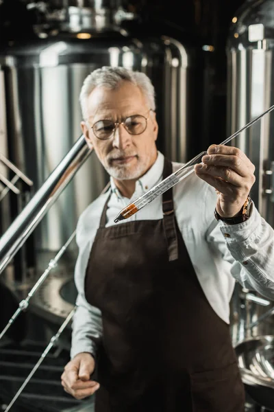 Selective Focus Handsome Senior Brewer Examining Beer Flask Brewery — Stock Photo, Image