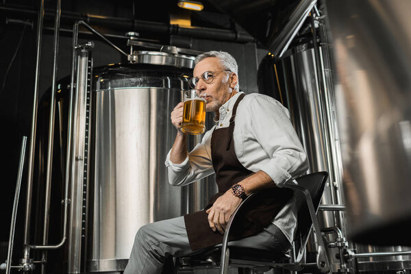 старший пивовар в фартуке тестирует пиво в кресле на пивоварне
