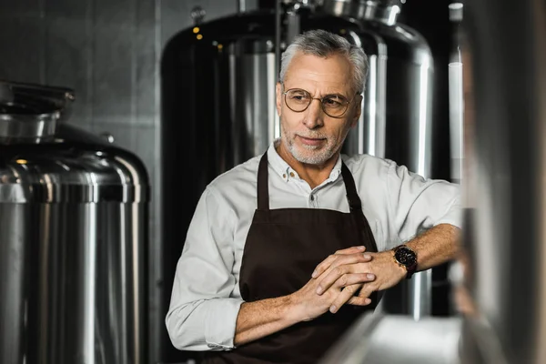 Knappe Senior Brouwer Schort Staande Brouwerij — Stockfoto