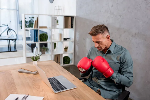 Handsome Businessman Watching Championship Laptop While Wearing Boxing Gloves Office — Stock Photo, Image