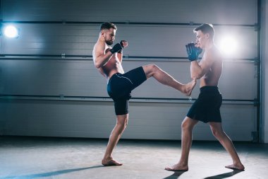 side view of muscular barefoot mma fighter kicking opponent with leg clipart