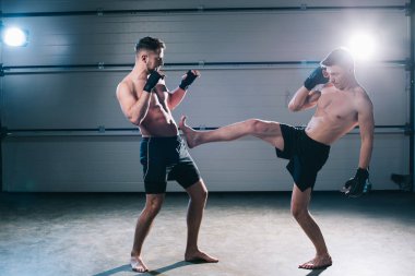 side view of muscular barefoot mma fighter kicking sportive opponent with leg