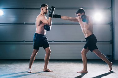 athletic muscular mma fighter practicing punch with another sportsman during training clipart