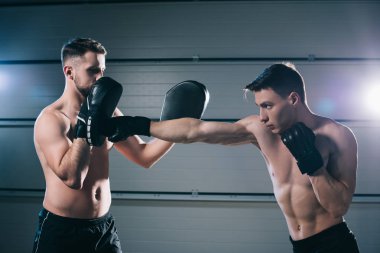 athletic muscular shirtless mma fighter practicing punch with another sportsman during training clipart
