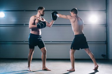athletic muscular shirtless boxer practicing punch with another sportsman during training clipart