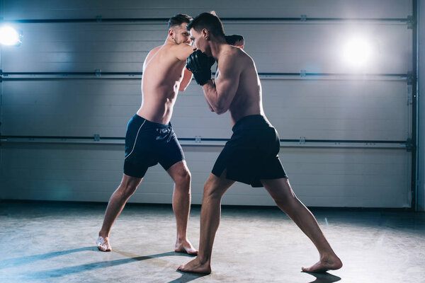 strong shirtless barefoot mma sportsmen fighting while man punching another