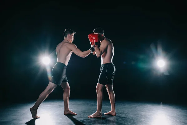 strong sportsmen in boxing gloves fighting during training