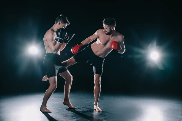 shirtless muscular mma fighter in boxing gloves kicking another in leg