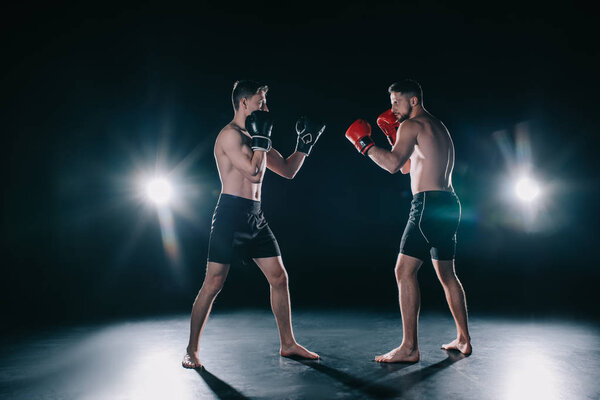 strong muscular boxers in boxing gloves in stance looking at each other