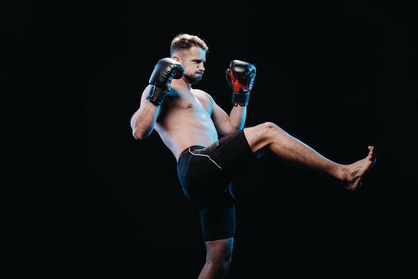 muscular barefoot strenuous boxer in boxing gloves and shorts doing kick isolated on black