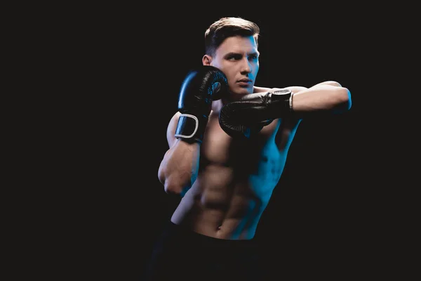 confident muscular sporty boxer in boxing gloves doing punch isolated on black