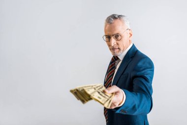 selective focus of mature man in glasses and formal wear holding dollar banknotes isolated on grey  clipart