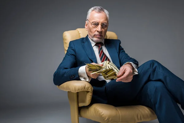Serious Mature Businessman Sitting Armchair Holding Dollar Banknotes Grey — Stock Photo, Image