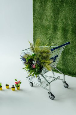 alışveriş sepeti çiçek ve beyaz yeşil çim ile fern ile