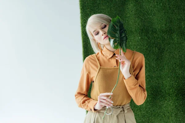 Vacker Elegant Flicka Poserar Med Monstera Blad Vit Med Grönt — Stockfoto