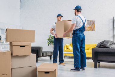 two movers in uniform transporting cardboard box in living room clipart