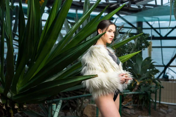 Sexy Young Woman Faux Fur Coat Underwear Plants Orangery — Stock Photo, Image