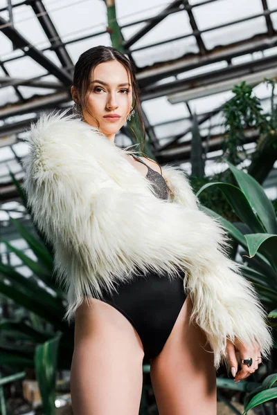 Confident Sexy Woman Faux Fur Coat Underwear Orangery — Stock Photo, Image