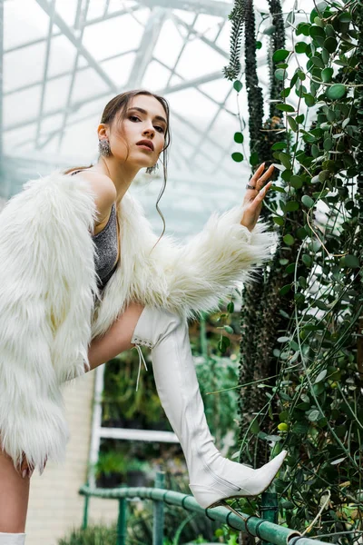 Confident Sexy Girl Faux Fur Coat Touching Green Foliage Orangery — Stock Photo, Image