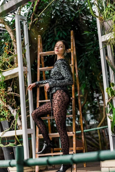 Mulher Sexy Meia Calça Preta Perto Escada Madeira Orangery — Fotografia de Stock