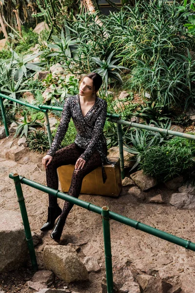 植物園のスーツケースの上に座って黒いパンストで夢のようなセクシーな女性 — ストック写真