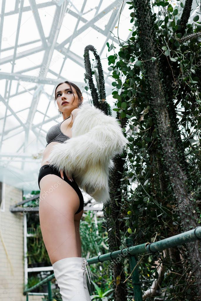 Low angle view of sexy girl in faux fur coat and underwear posing in orangery