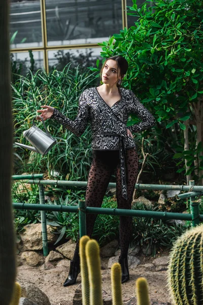 Sexy Young Woman Pantyhose Holding Watering Can Orangery — Stock Photo, Image